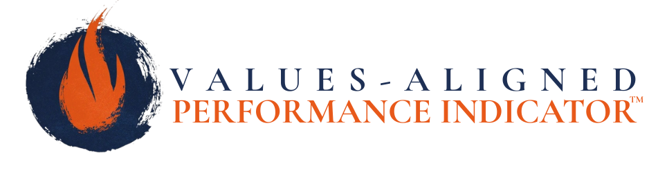VAPI Values Alignment Performance Insights wordmark